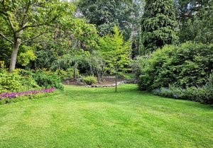 Optimiser l'expérience du jardin à Somme-Suippe